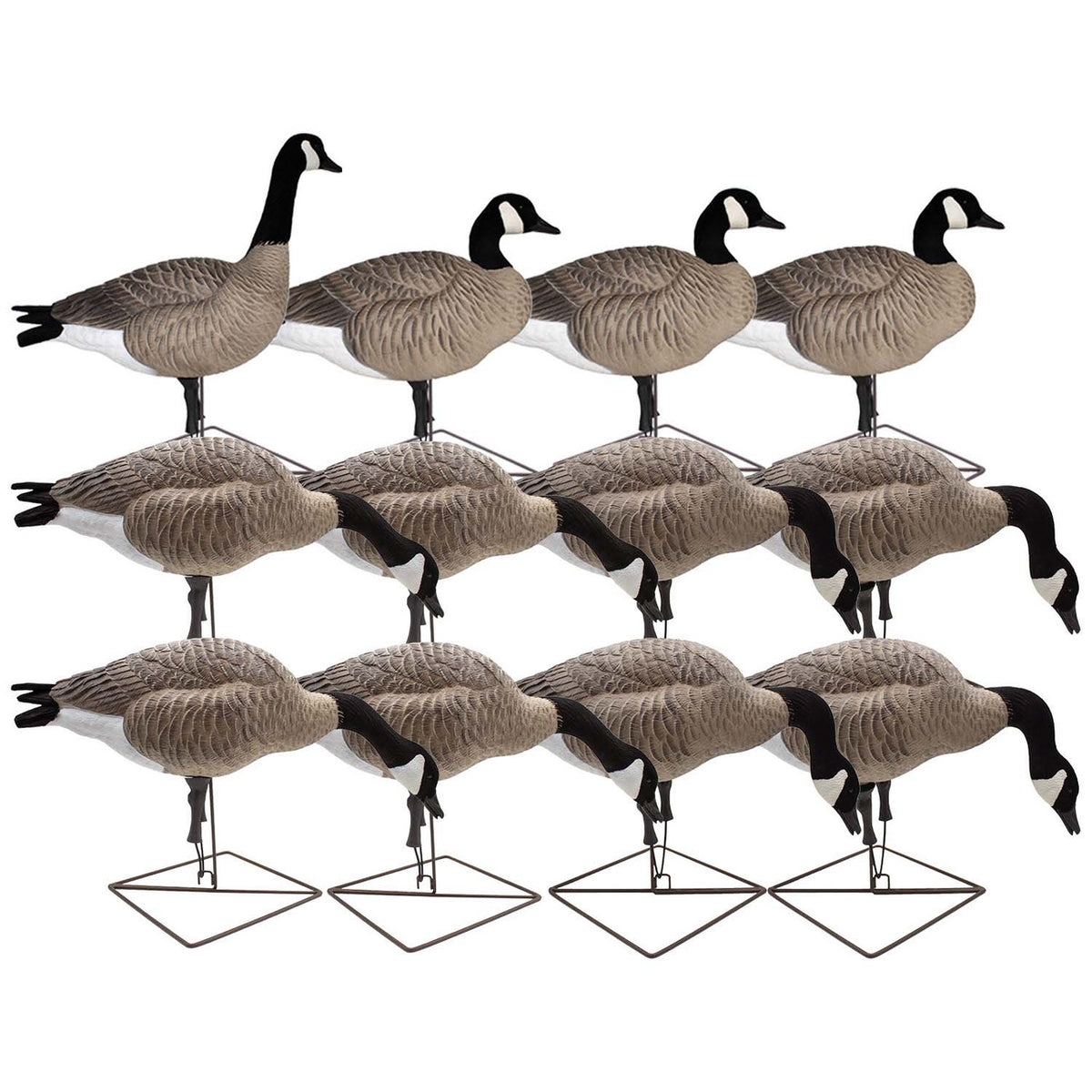 Final Approach LIVE Full Body Honkers 12 Pack Image