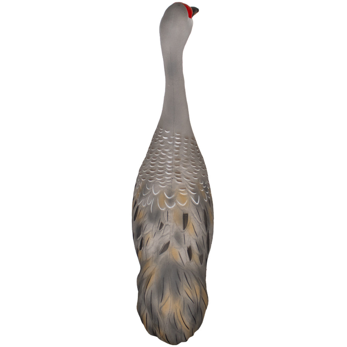 Back Image of the Final Approach Live Full Body Sandhill Crane Upright Decoy.