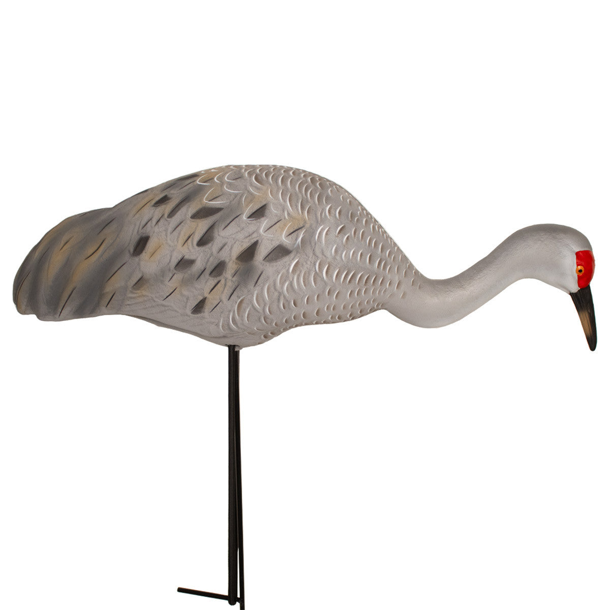 Final Approach Live Full Body Sandhill Crane Feeder Decoy Side Image