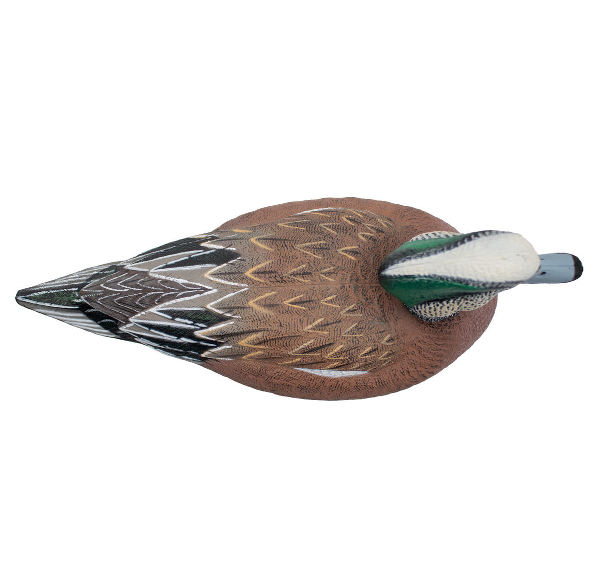 Final Approach HD Floating Wigeon Image