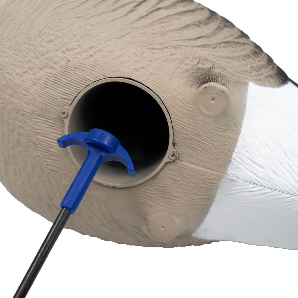 Final Approach HD Full Body Lesser Goose Decoy Stake Placement Image