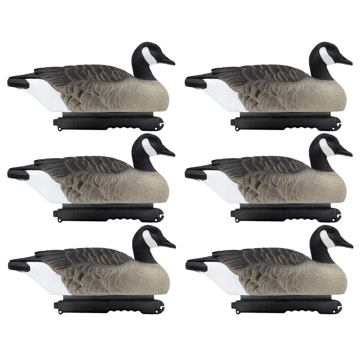 Final Approach Last Pass Canada Goose Floaters 6 Pack Image