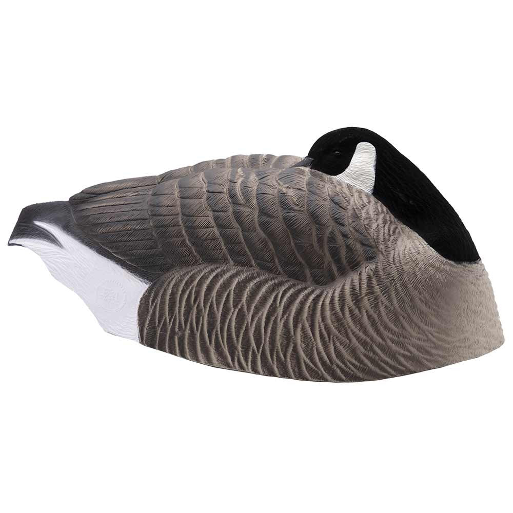 Last Pass Honker Sleeper Shells - 12 Pack