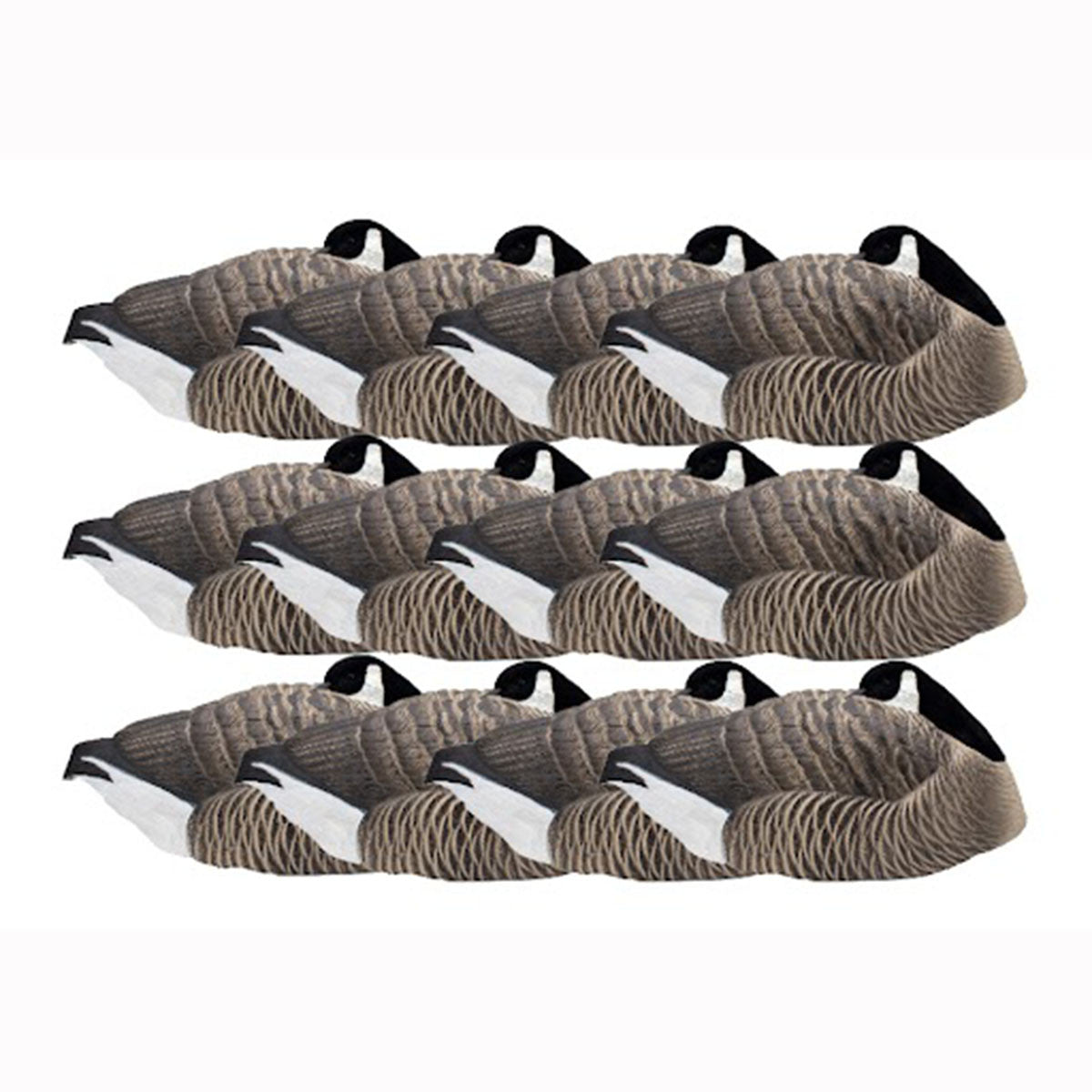 Last Pass Honker Sleeper Shells - 12 Pack