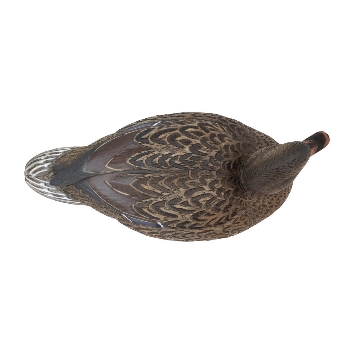 Live Mallard EVA Floaters hen above image