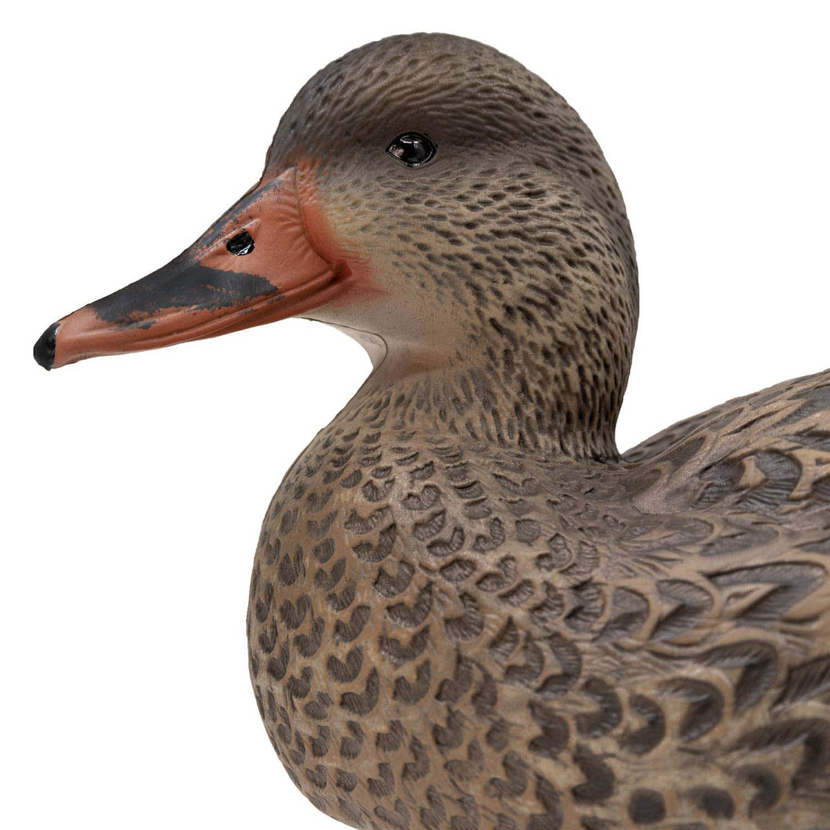 Live Mallard EVA Floaters close up hen image