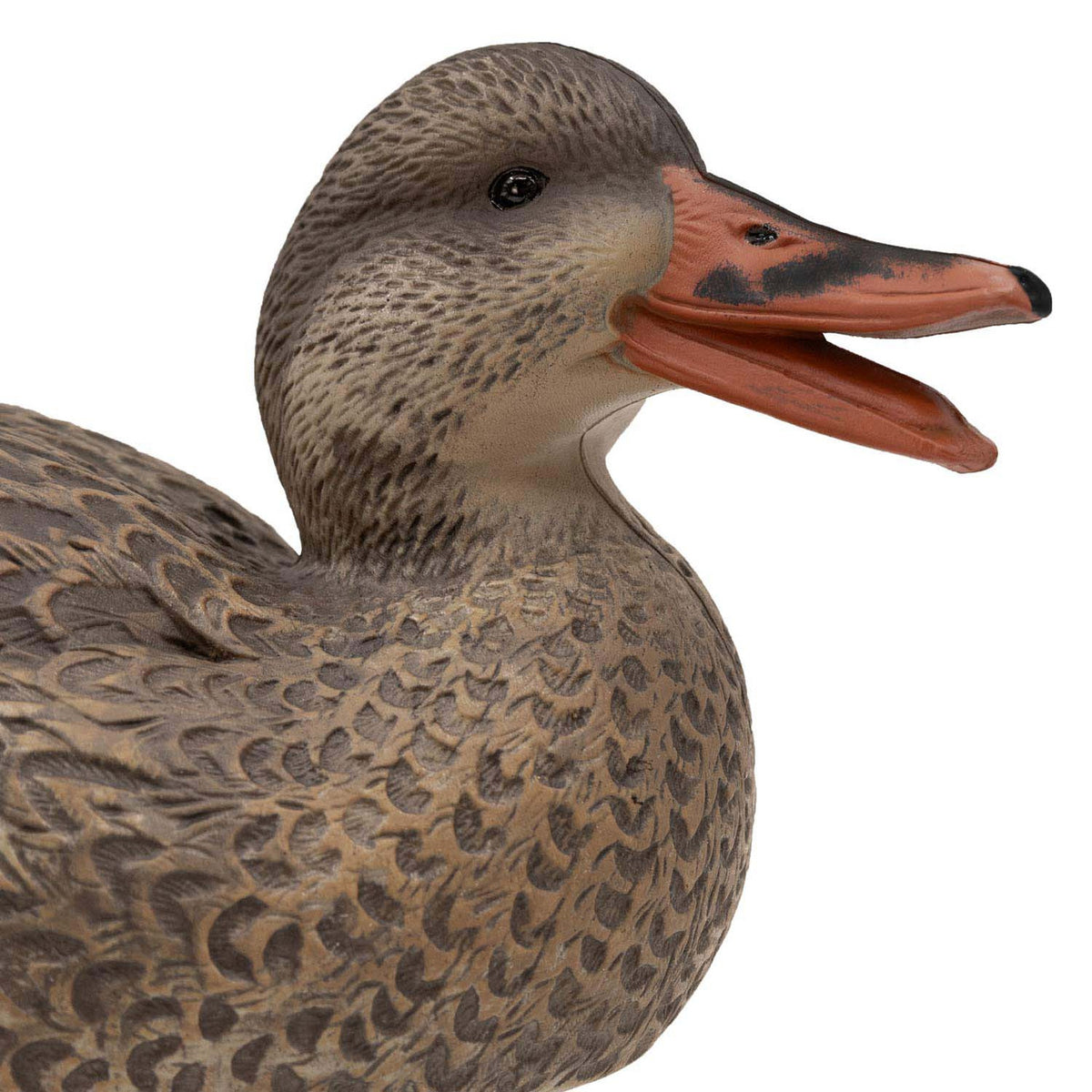 Live Mallard EVA Floaters close up hen head up image