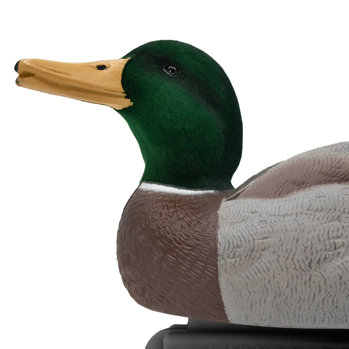 Live Mallard EVA Floaters close up head up drake image