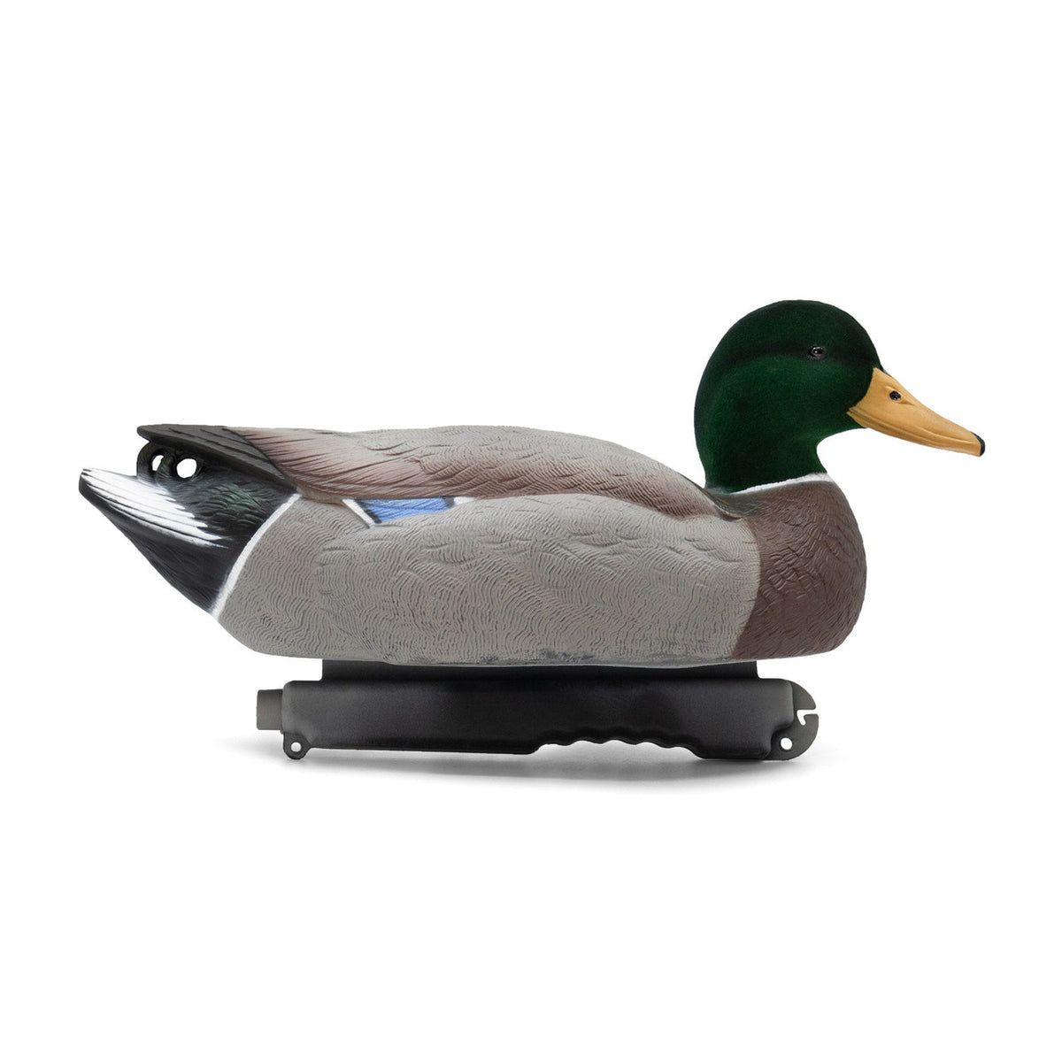 Live Mallard EVA Floater drake image