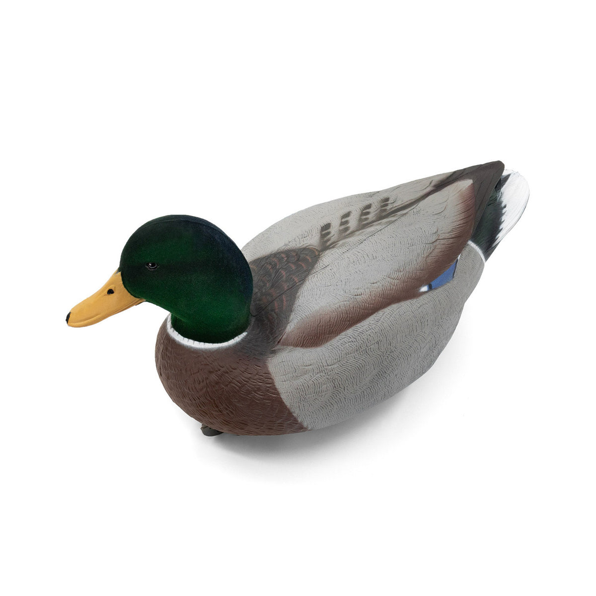 Live Mallard EVA Floaters drake tilted image