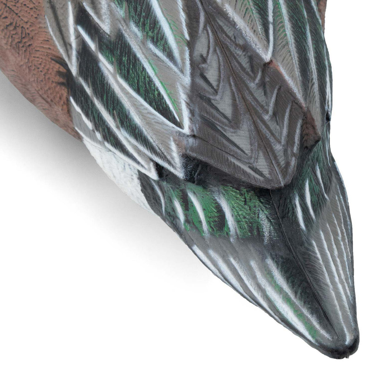 Final Approach Live Wigeon Floater Duck Decoy drake tail feathers close up image