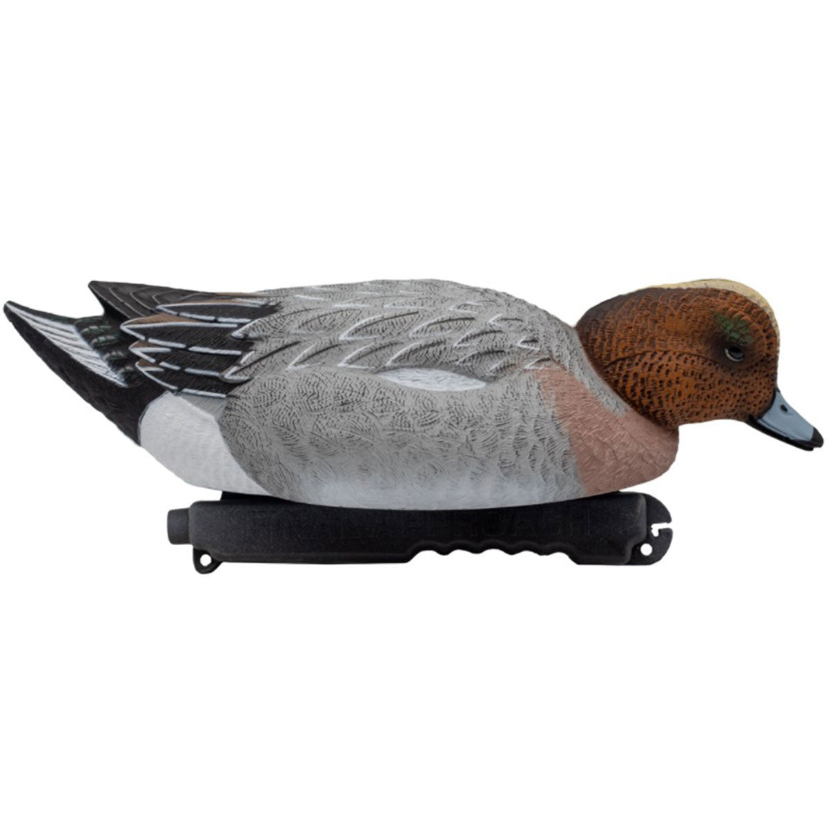 Final Approach Live Eurasian Wigeon Decoys Surface Feeder Drake Side Image