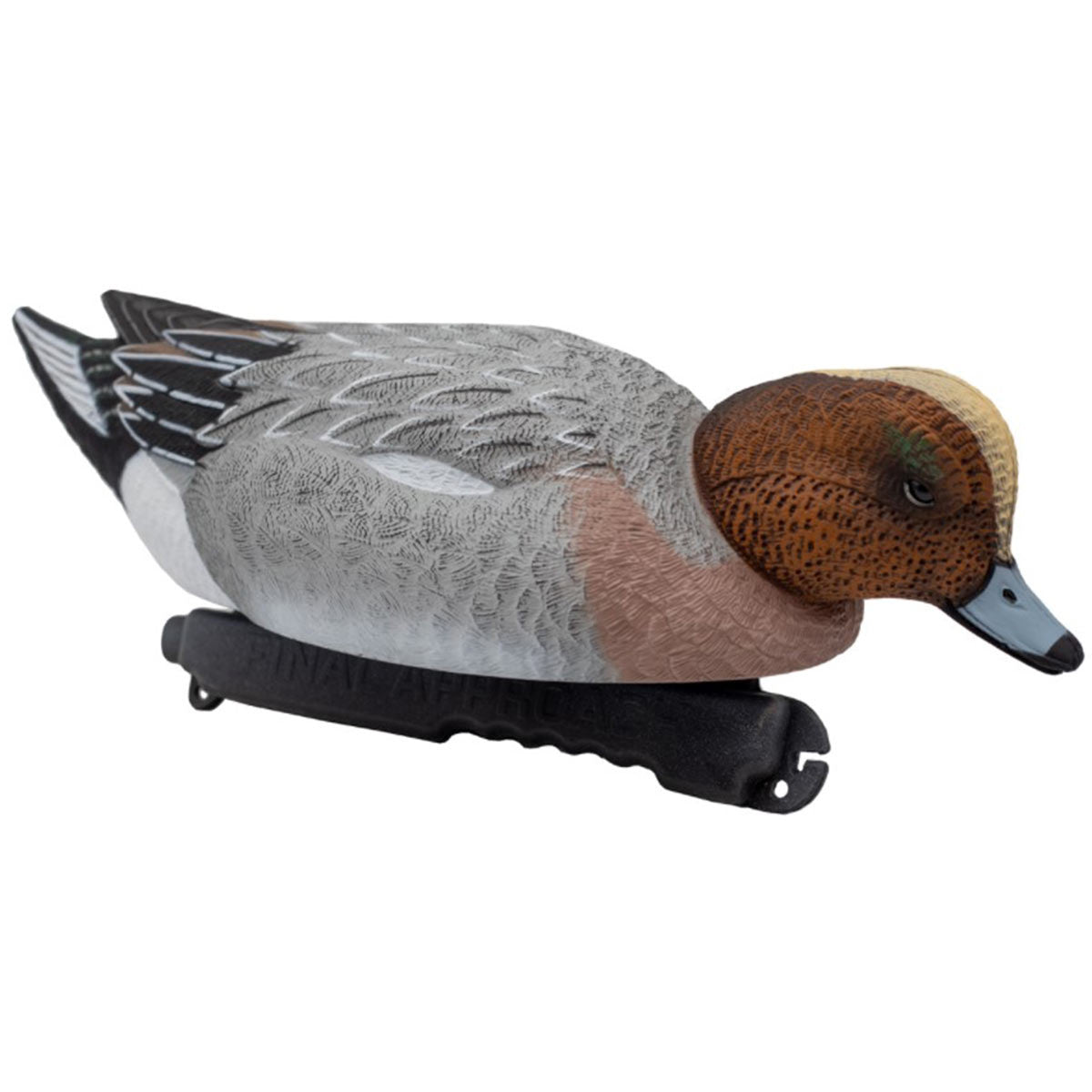 Final Approach Live Eurasian Wigeon Decoys Surface Feeder Drake Angled Image