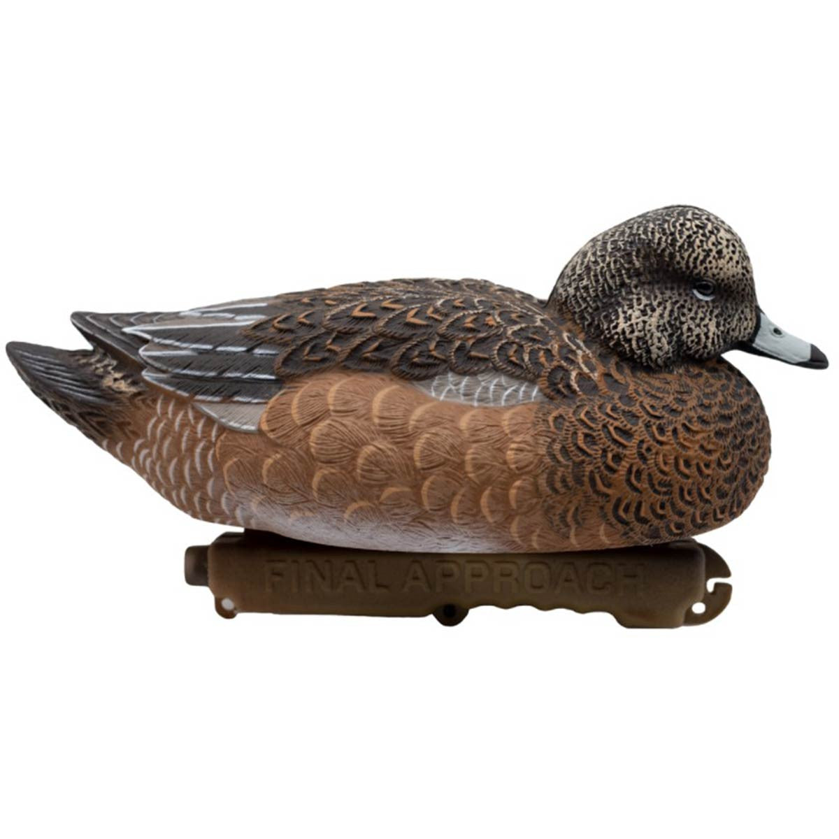 Final Approach Live Eurasian Wigeon Decoys Resting Hen Side Image