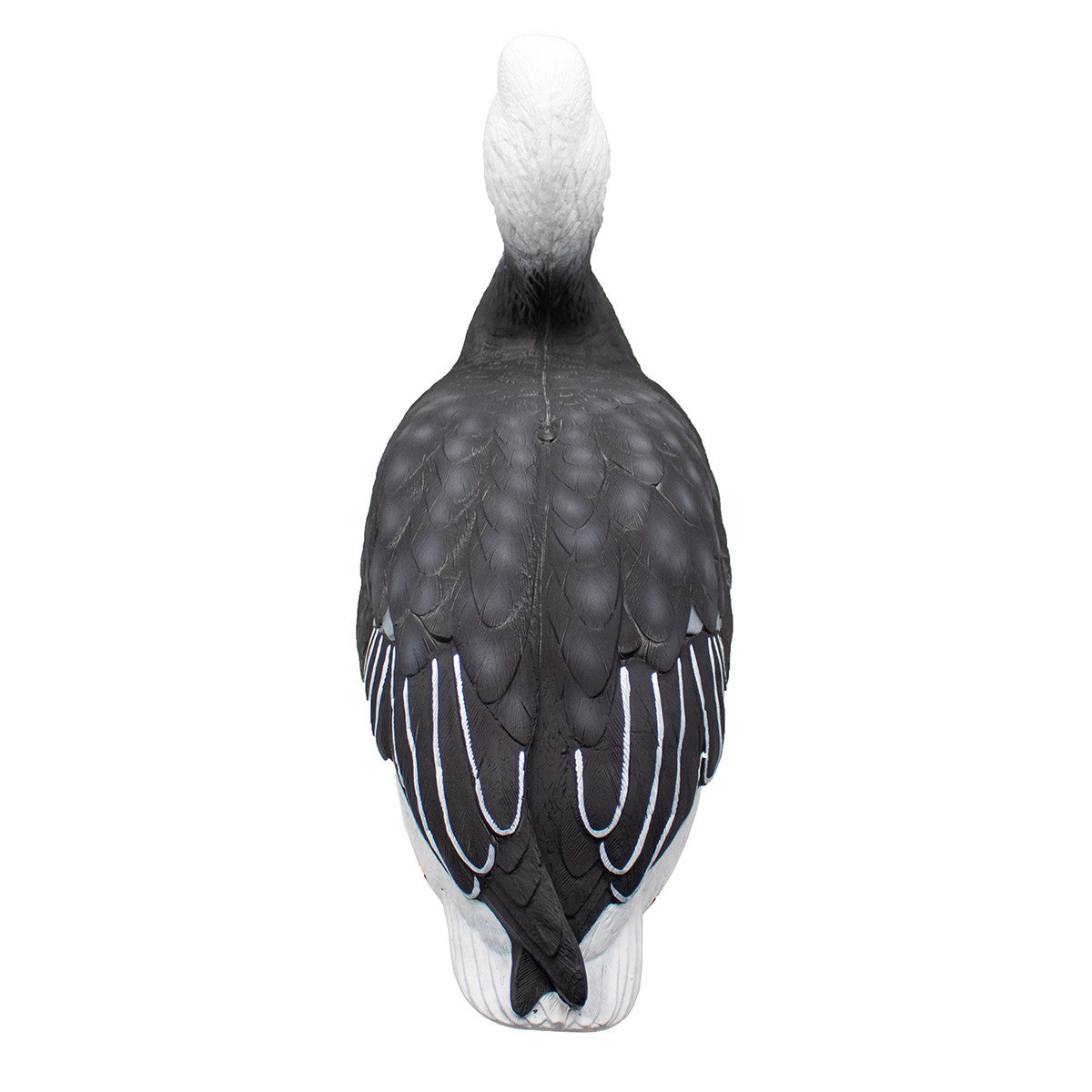 LIVE Full Body Blues Decoys, 6 Pack