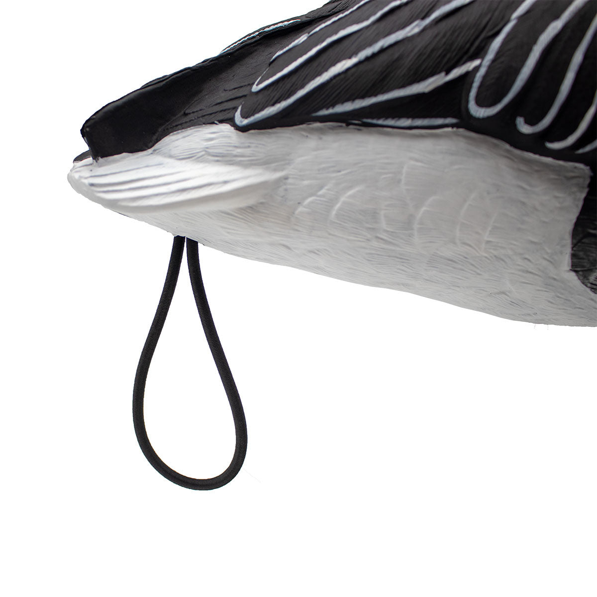 LIVE Full Body Blues Decoys, 6 Pack