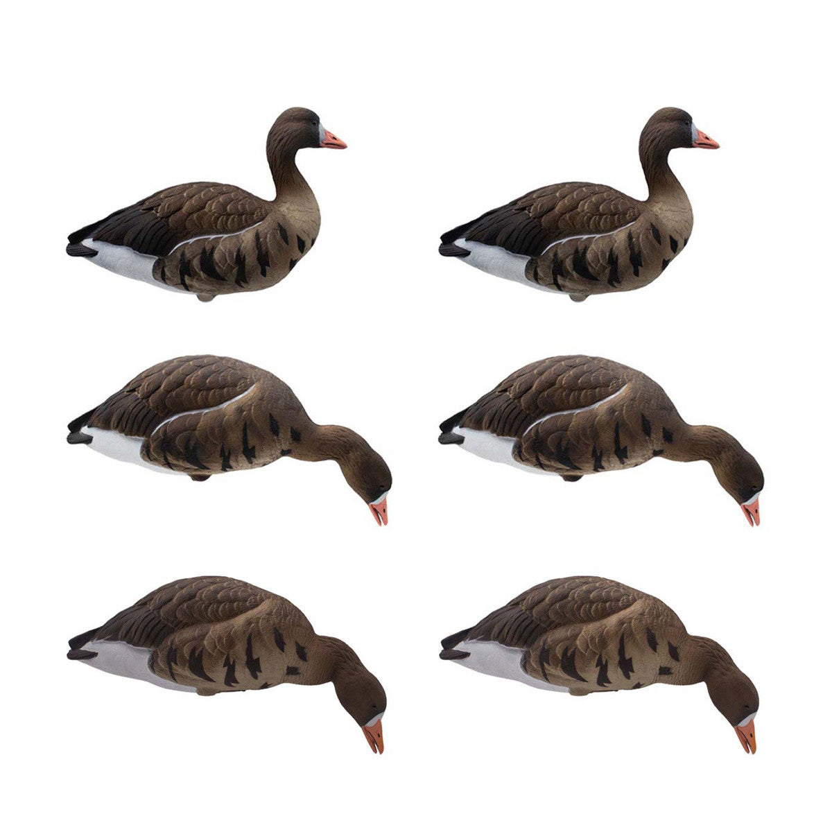 Final Approach Live Full-Body Speck Decoys 6 Pack Image