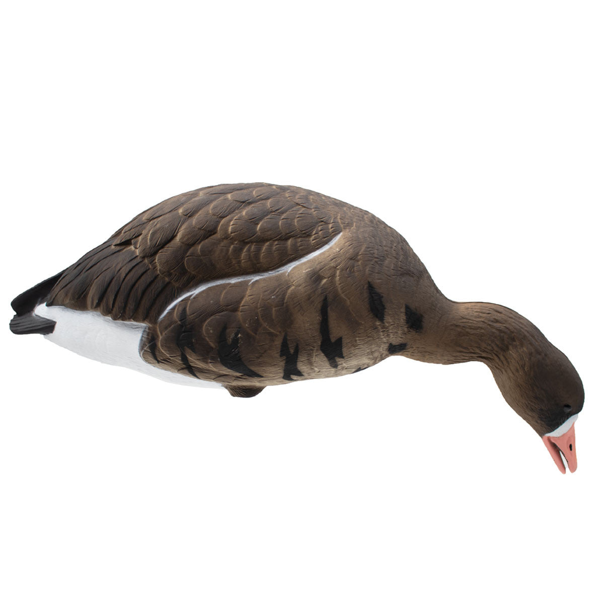 LIVE Full-Body Speck Decoys, 6 Pack