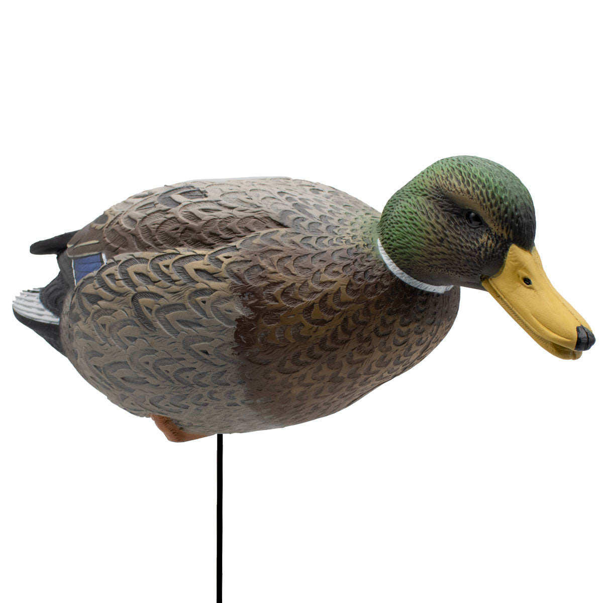 Live Full Body Early Season Mallard Duck Decoys, 6 Pack