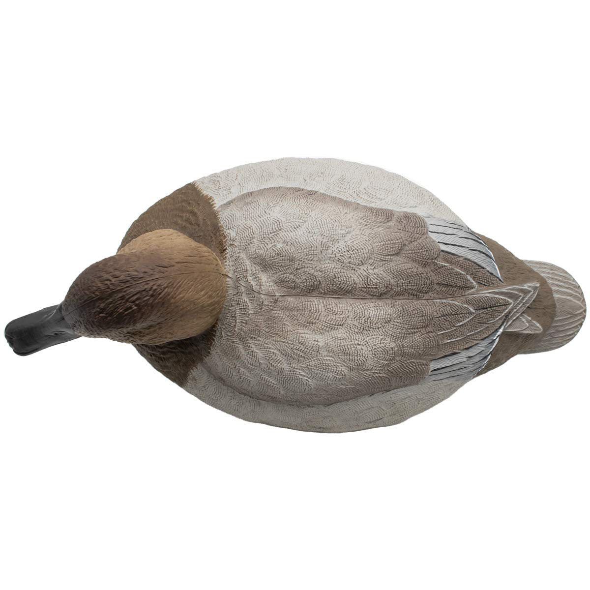 LIVE Foam-Filled Canvasbacks, 6 Pack