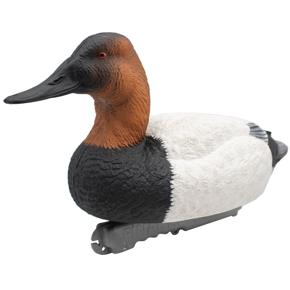 LIVE Foam-Filled Canvasbacks, 6 Pack