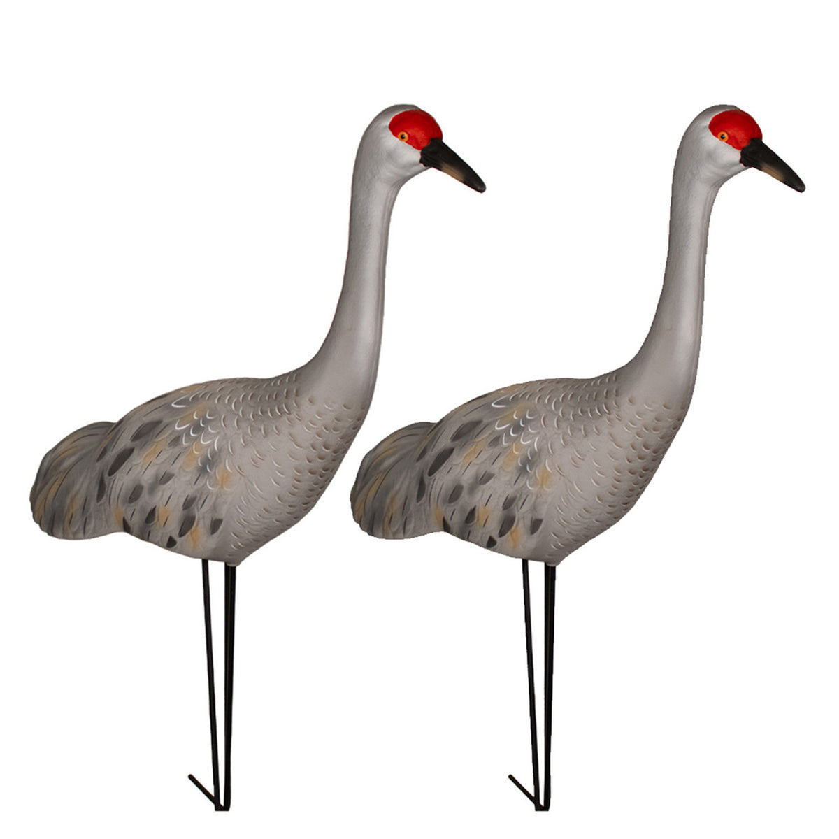 Image of the Final Approach Live Full Body Sandhill Crane Upright Decoys.