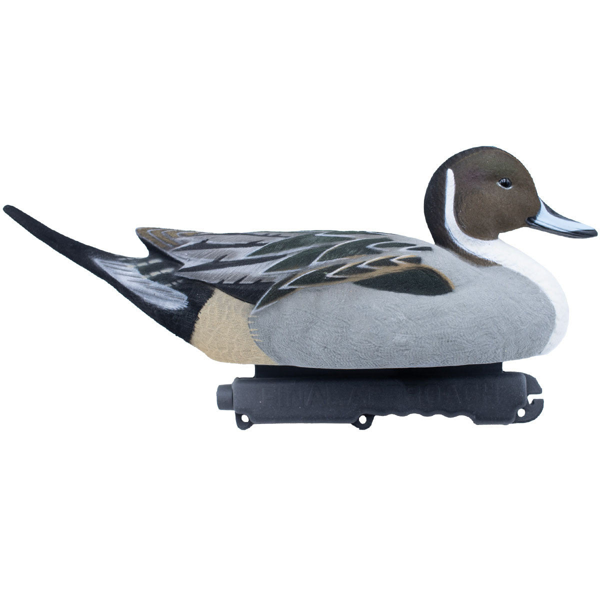 Final Approach LIVE Fully Flocked Pintail Image