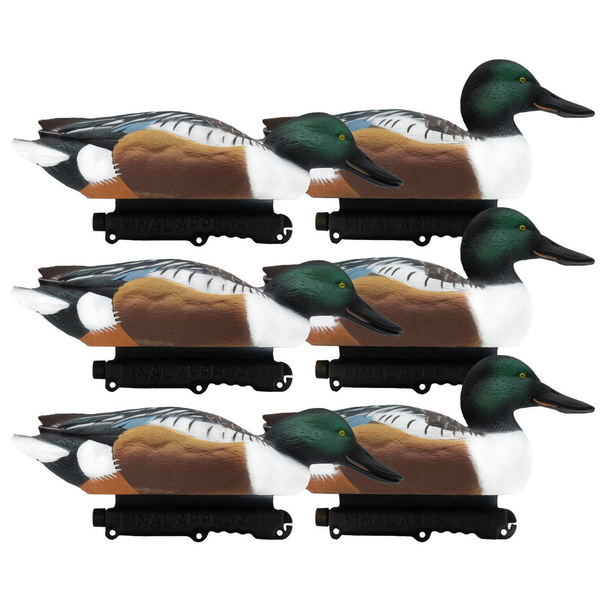 Final Approach HD Northern Shoveler Floating Duck Decoys 6 Pack image