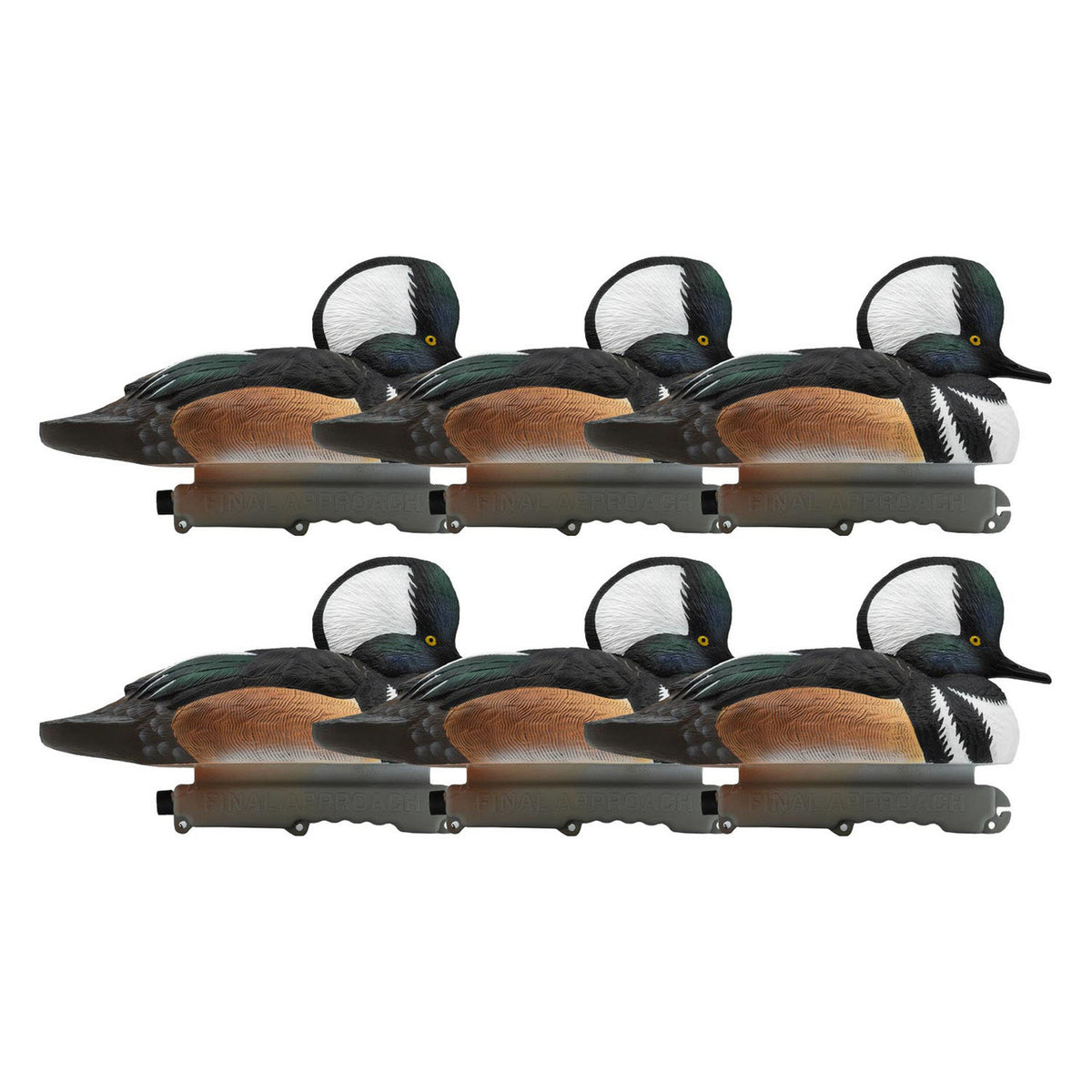 6 Pack Image of the Live Hooded Merganser Duck Decoys.