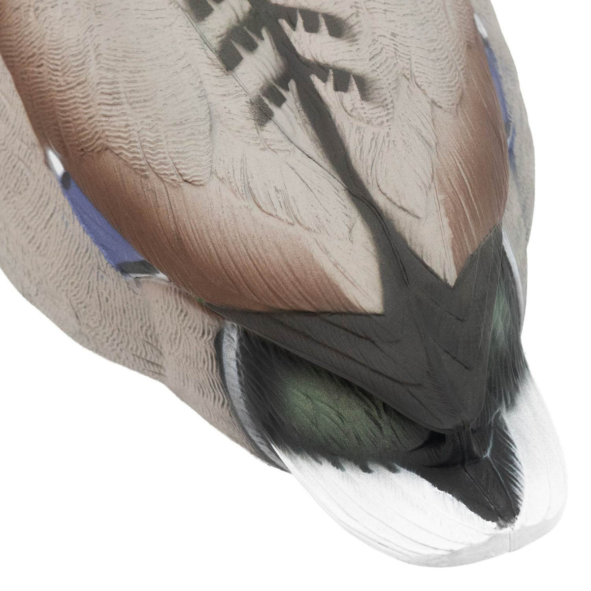 Drake tail image of the Final Approach HD Mallard Floaters With Flocked Drake Heads.