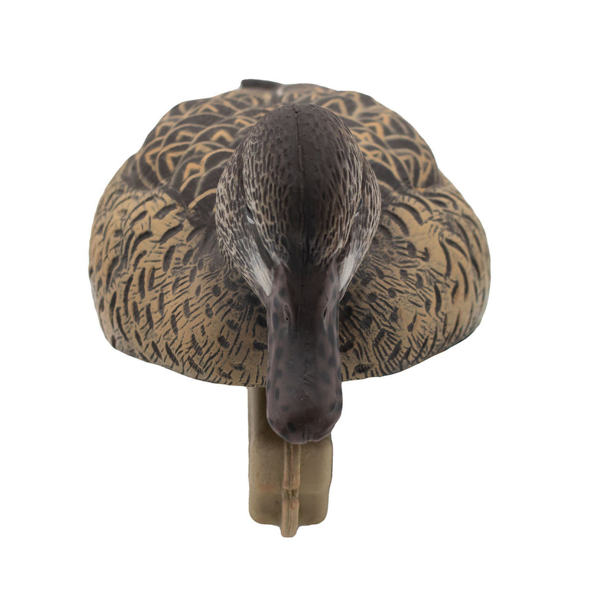 Hen front Image of Final Approach HD Greenwing Teal Floater.