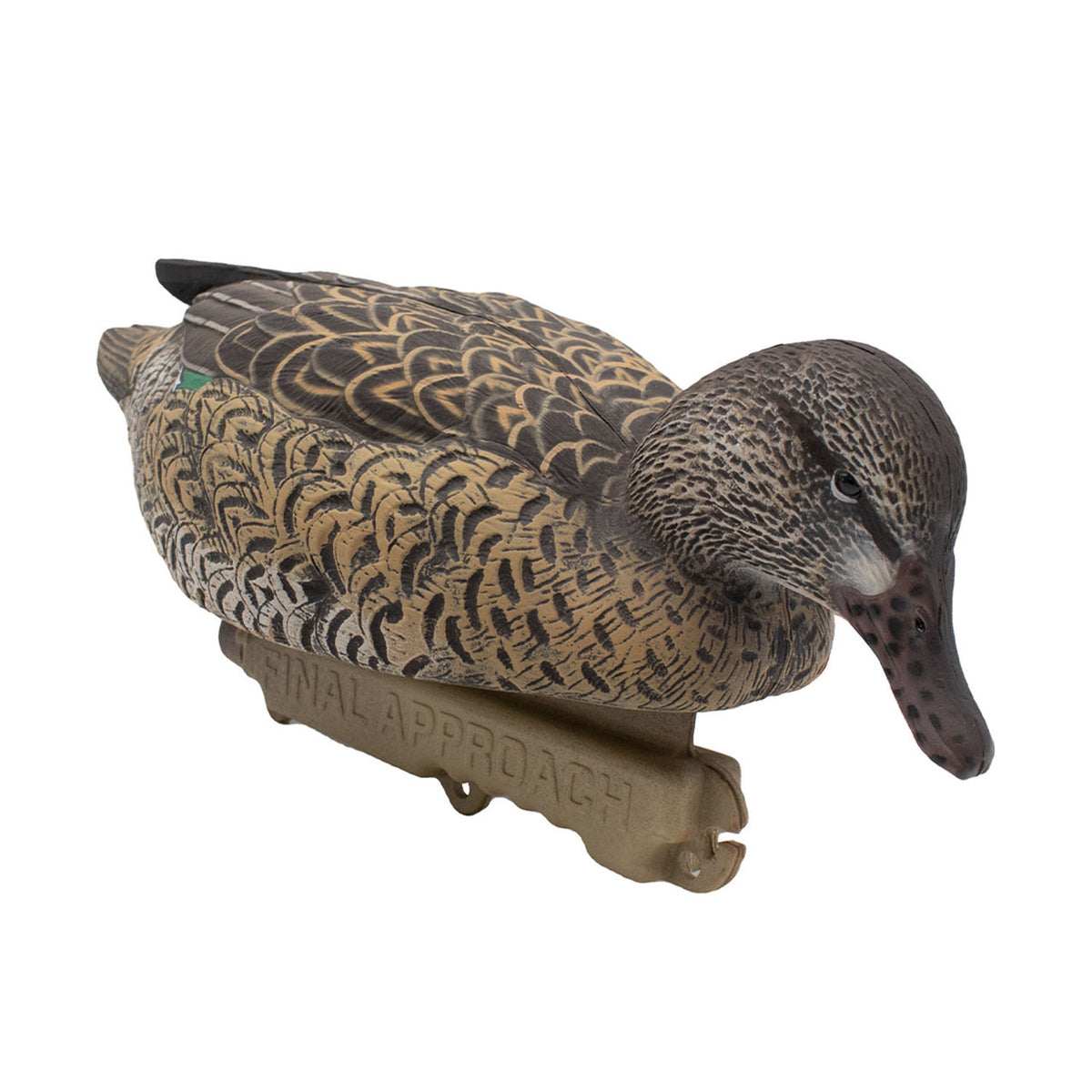 Hen tilted Image of Final Approach HD Greenwing Teal Floater.