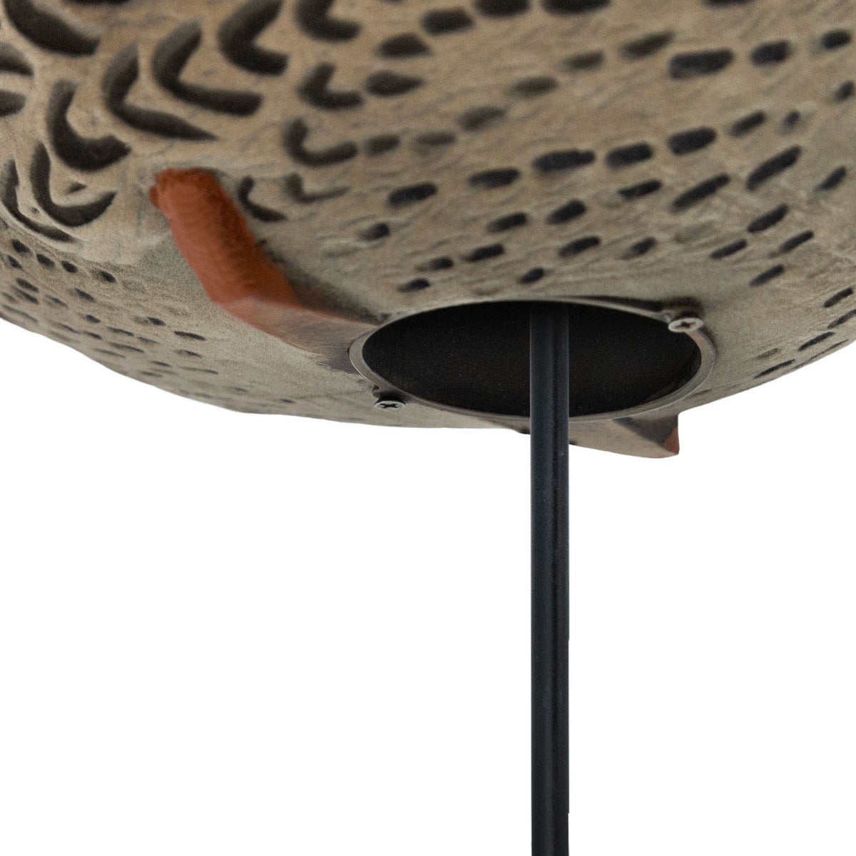 Stake Placement Image of the HD Full-Body Fully Flocked Mallard Duck Decoys.