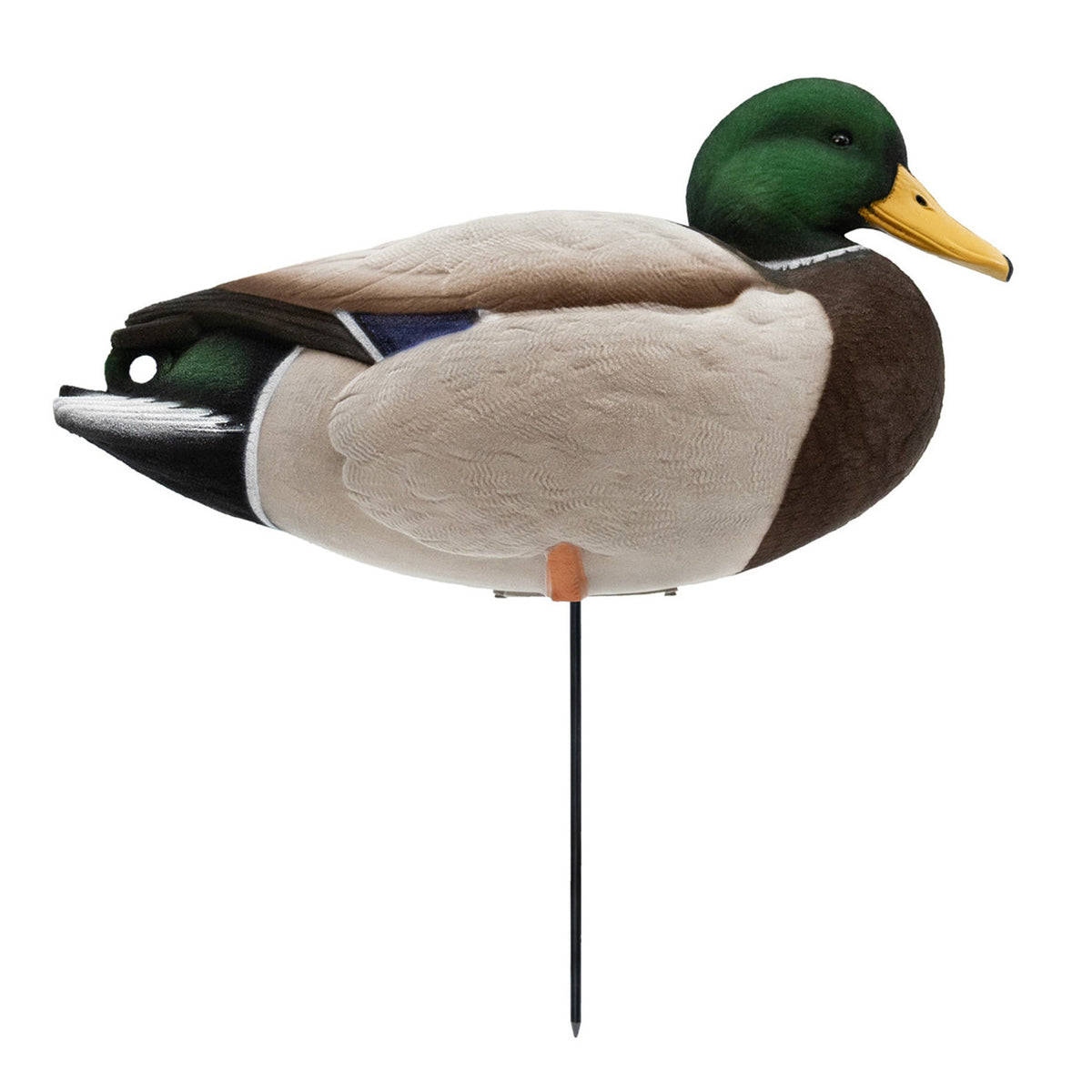 Resting Drake Image of the HD Full-Body Fully Flocked Mallard Duck Decoys.