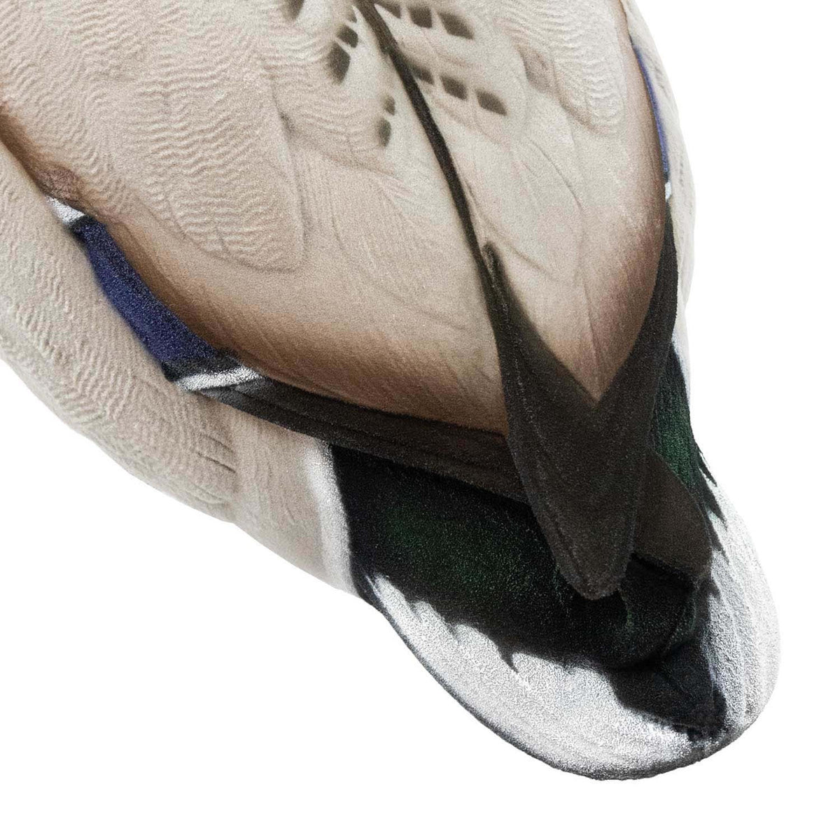 Drake Tail Feathers Image of the HD Full-Body Fully Flocked Mallard Duck Decoys.