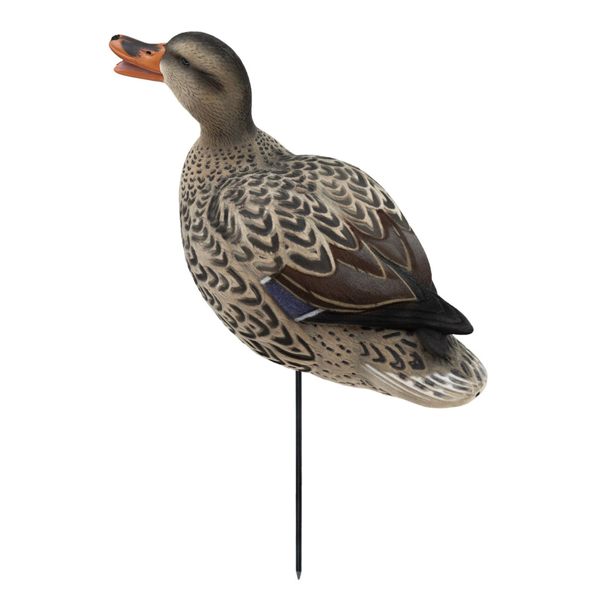 Back Upright Hen Image of the HD Full-Body Fully Flocked Mallard Duck Decoys.