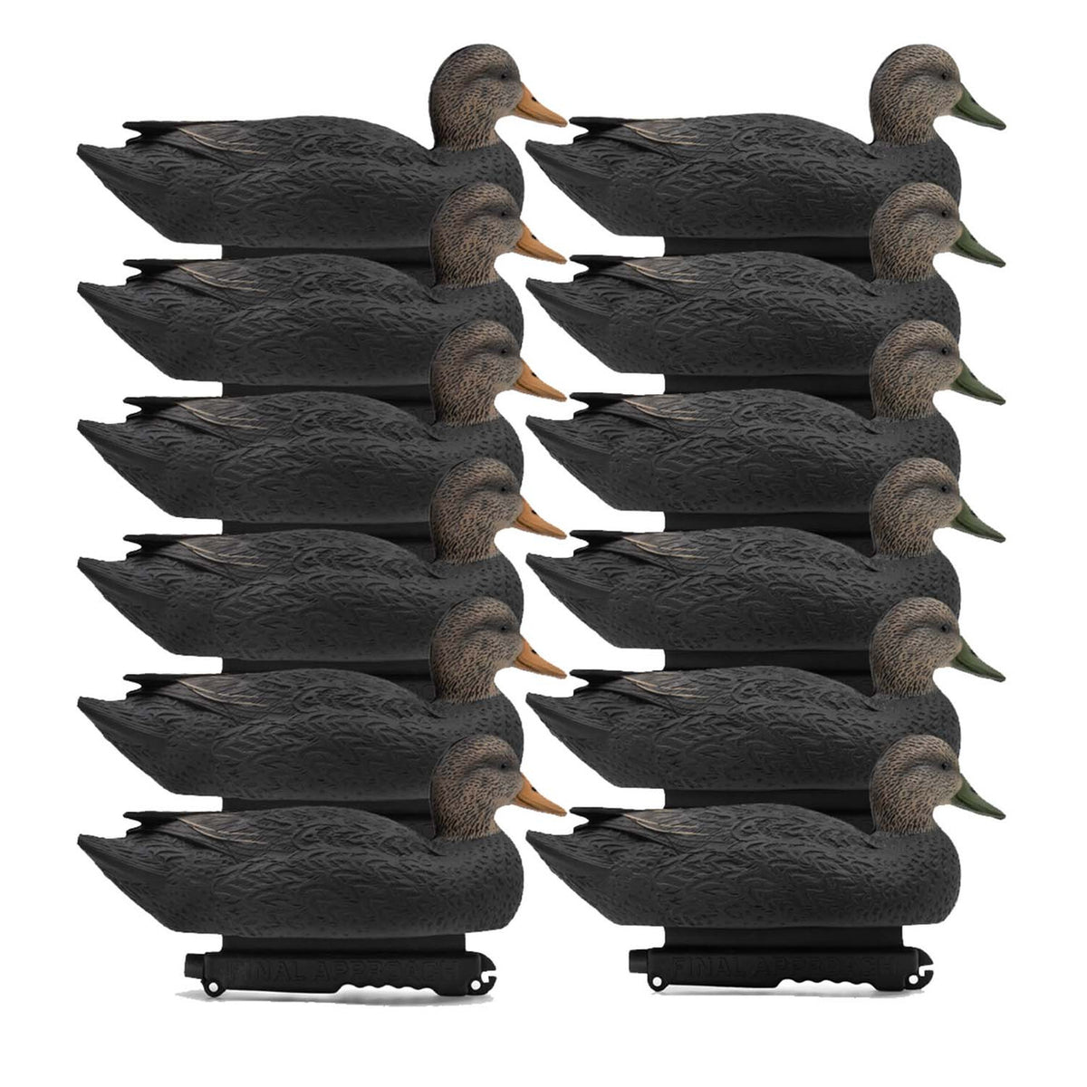 12 Pack Image of the Final Approach Last Pass Black Duck Decoys.