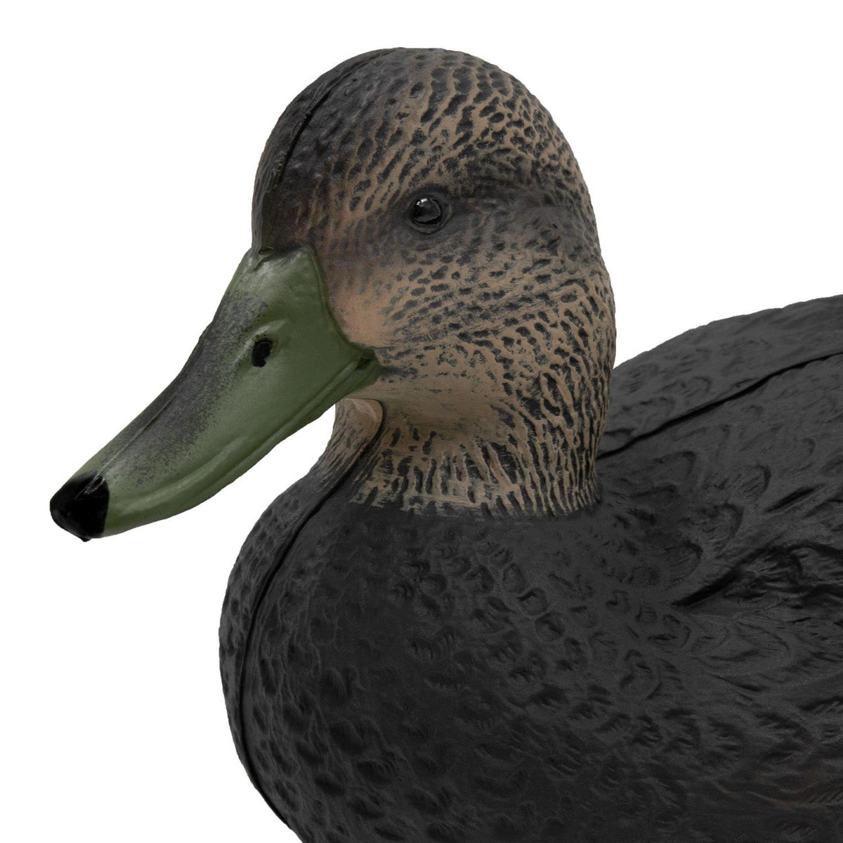 Hen Head Image of the Final Approach Last Pass Black Duck Decoys.