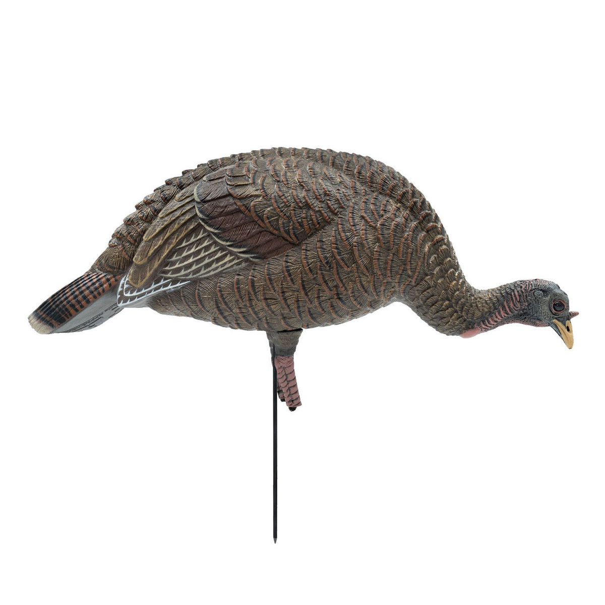 Final Approach Live Feeder Hen Turkey Decoy Side Image