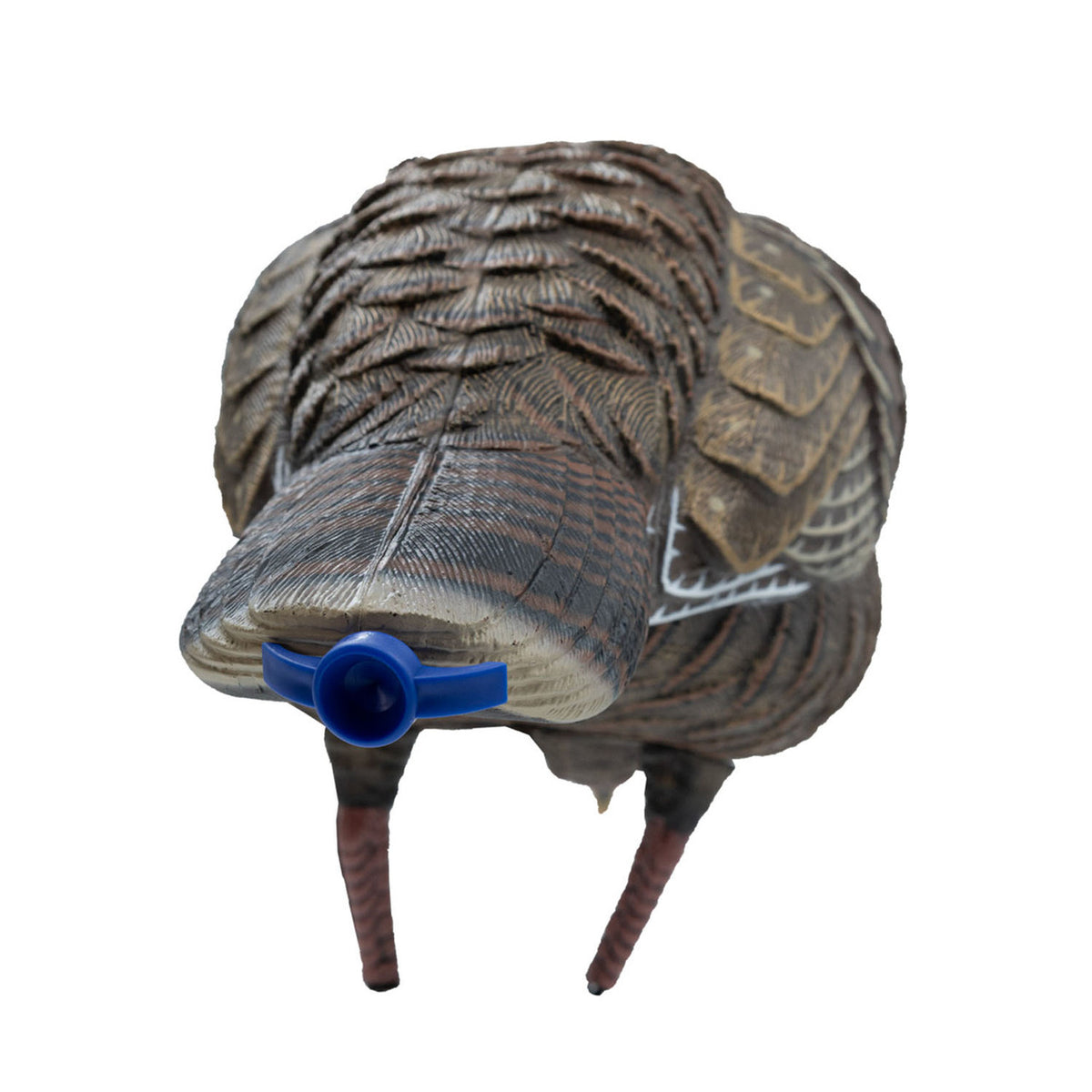 Final Approach Live Feeder Hen Turkey Decoy Back Image