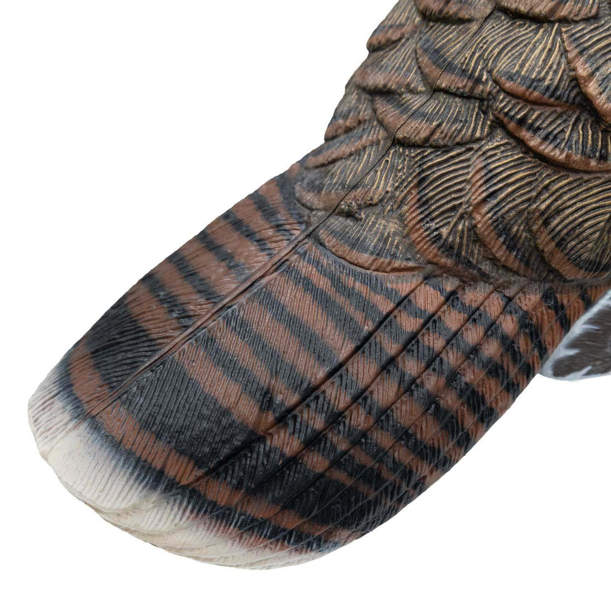 Final Approach Live Feeder Hen Turkey Decoy Tail Feathers Image