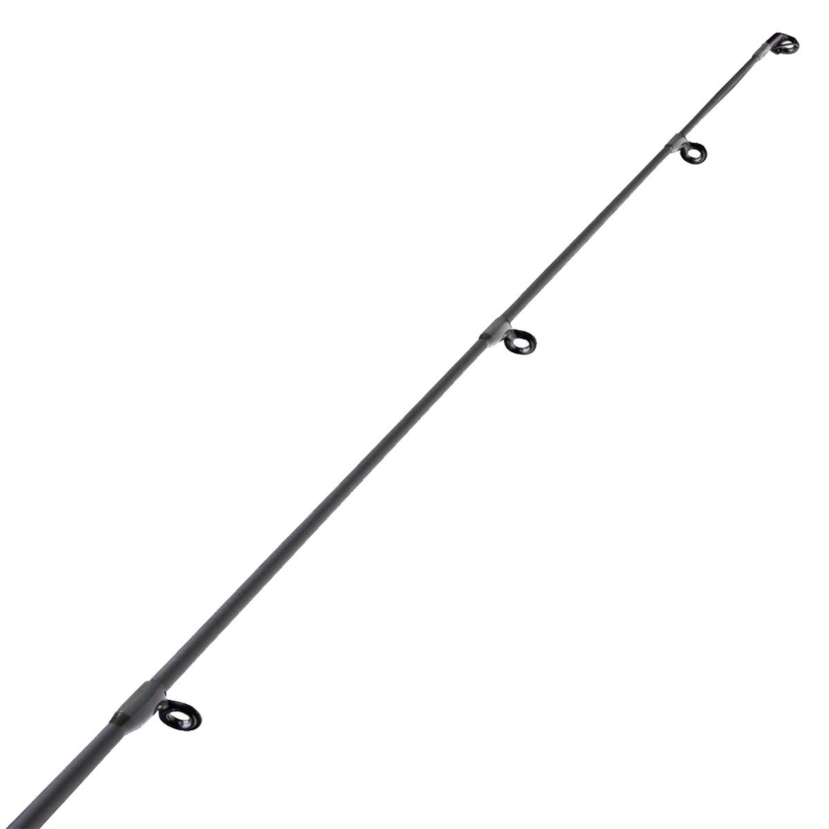 Fenwick Eagle Walleye Spinning Rod Guides and Rod Tip Image