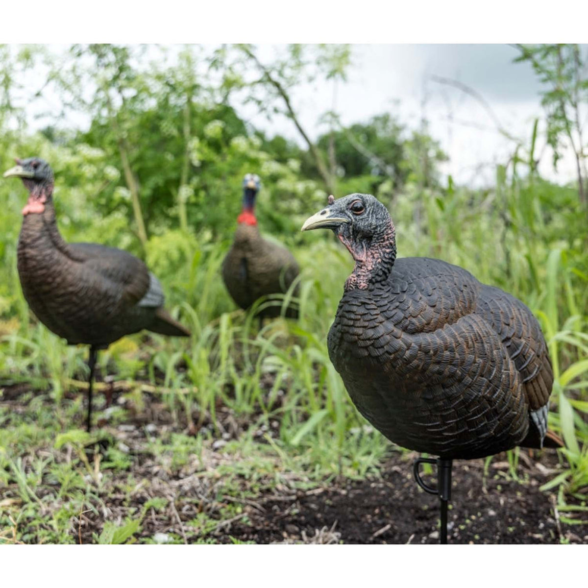 Flextone Thunder Chick Breeder Turkey Decoy Field Image
