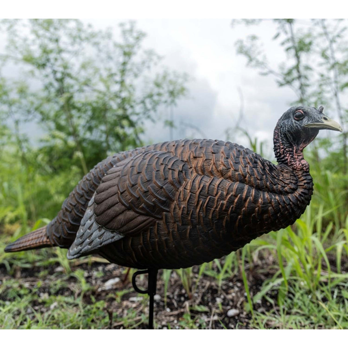 Flextone Chick Breeder Turkey Decoy Field Image