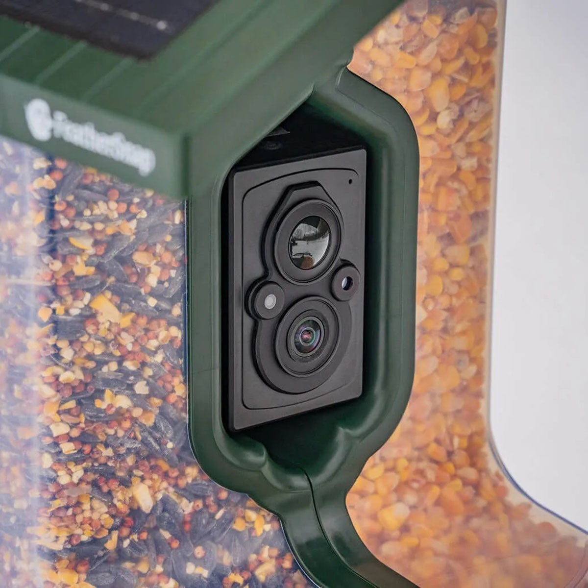 FeatherSnap Scout WiFi Solar-Powered Smart Bird Feeder Camera Image