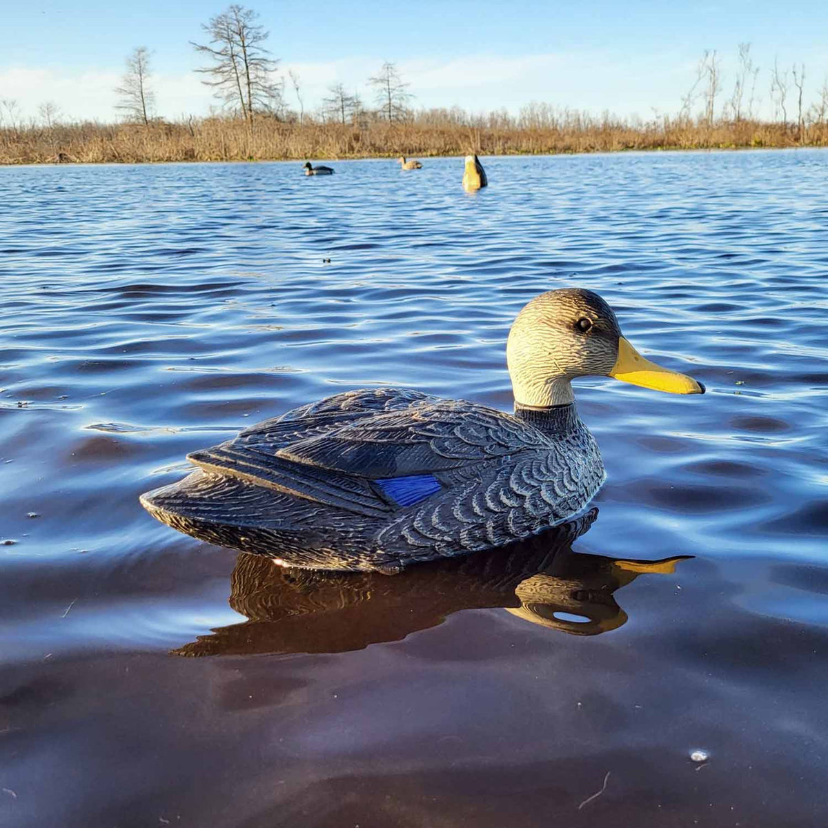 Lifestyle Image of the G&H Decoys Black Duck Magnum Decoy.