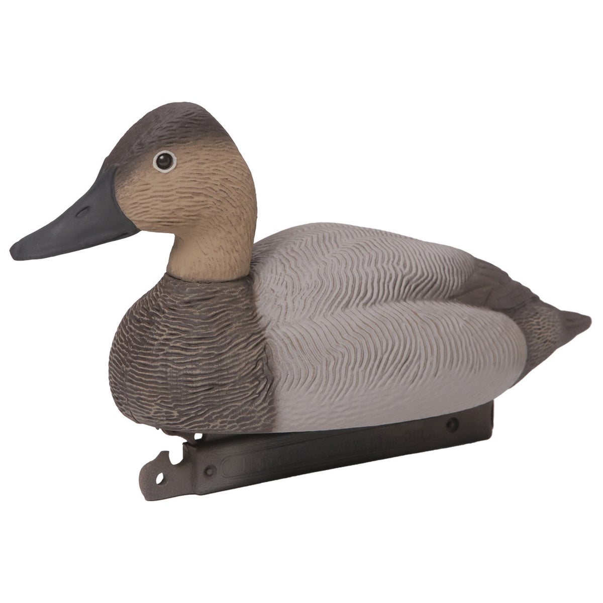 Hen Image of the G&H Decoys Premier Series Canvasback Duck Decoys.