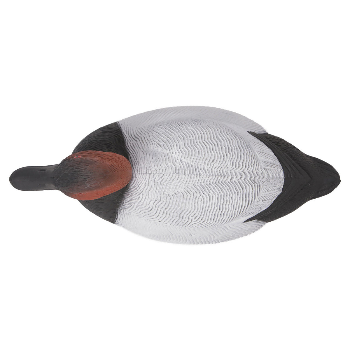 Top of Drake Image of the G&H Decoys Premier Series Canvasback Duck Decoys.