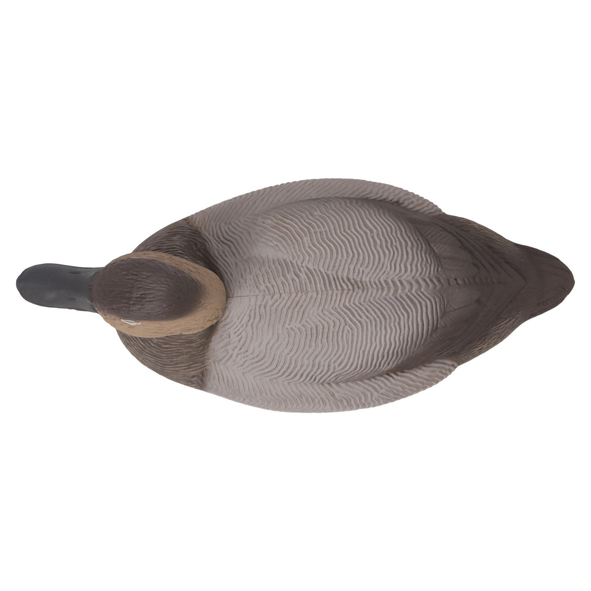 Top of Hen Image of the G&H Decoys Premier Series Canvasback Duck Decoys.
