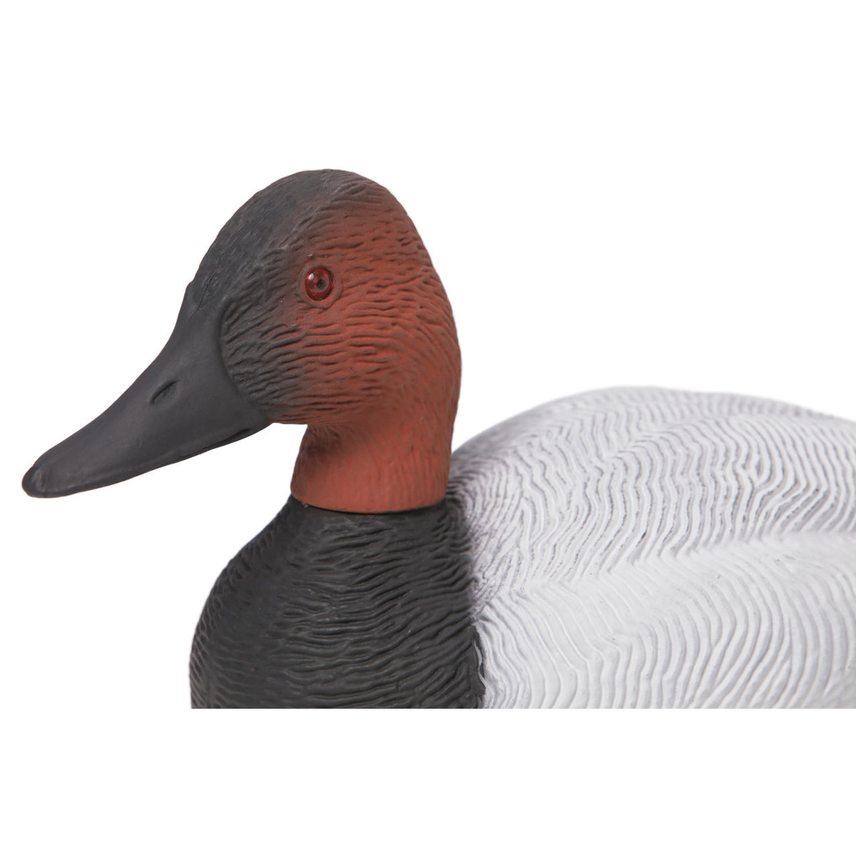 Detailed Head Image of the G&H Decoys Premier Series Canvasback Duck Decoys.